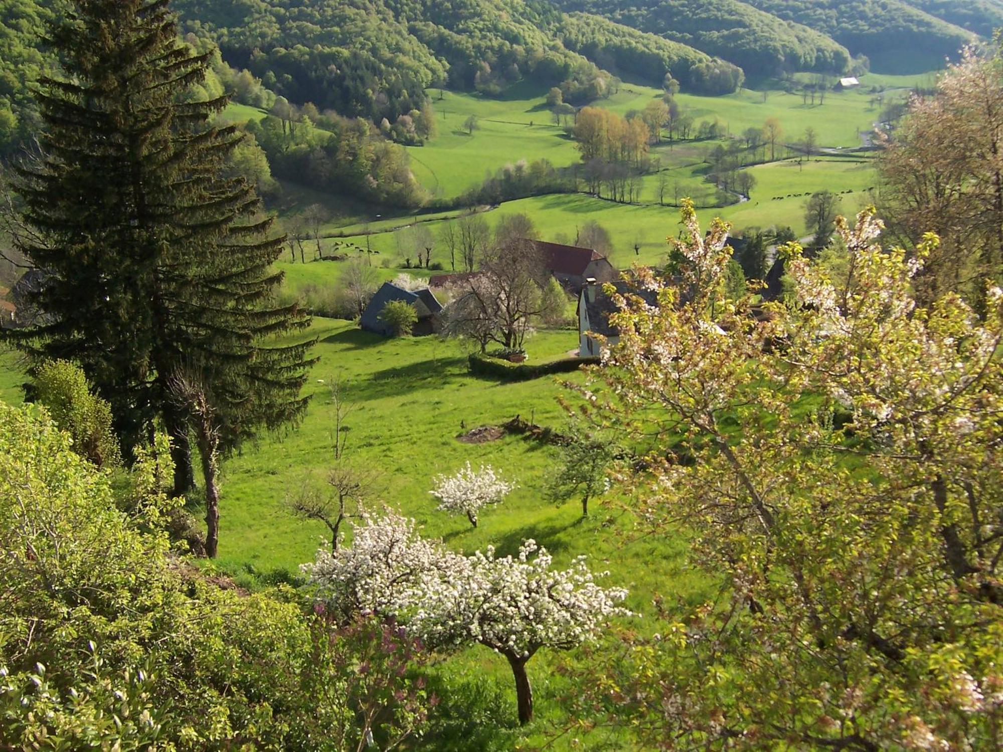 Auberge Hotel De Tournemire - Cantal Εξωτερικό φωτογραφία